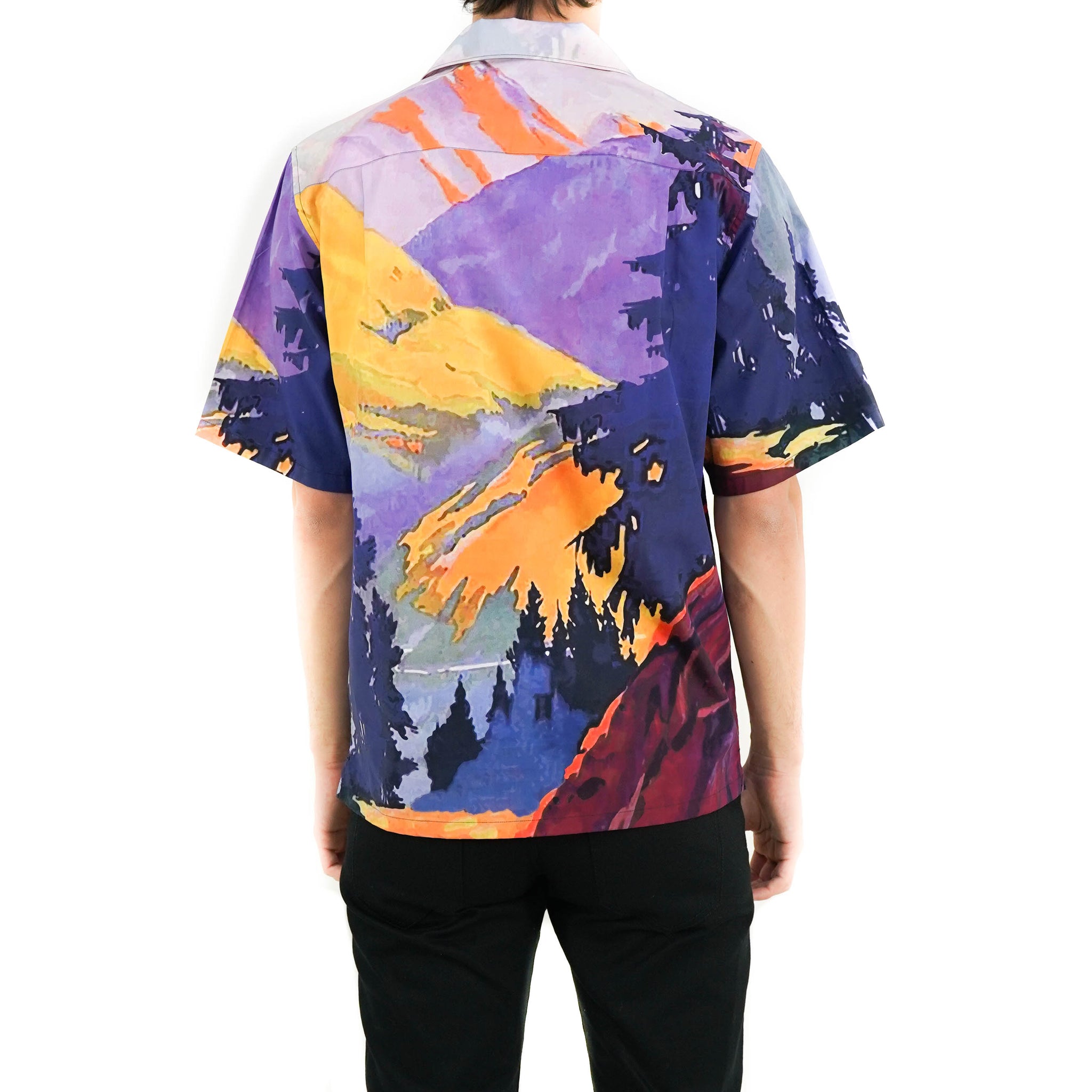 Prada 2024 landscape shirt