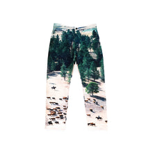 Load image into Gallery viewer, Landscape Printed Denim Jeans